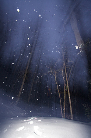 Snow in Pisgah Forest, NC