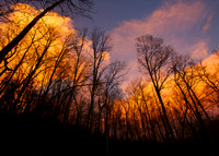 The Sky's on Fire