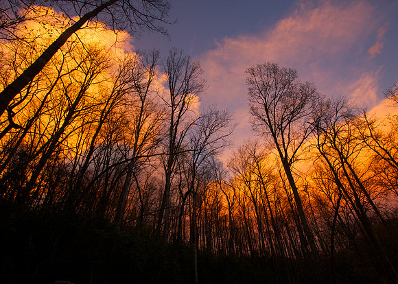 The Sky's on Fire