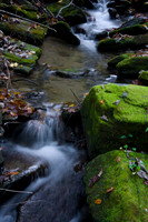 Mossy Rocks and Stream
