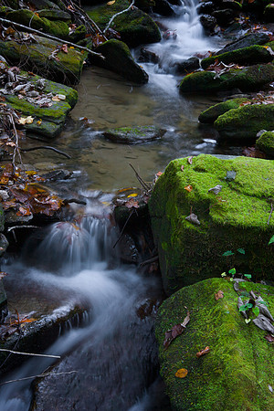 Mossy Rocks and Stream
