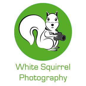 White Squirrel Photography